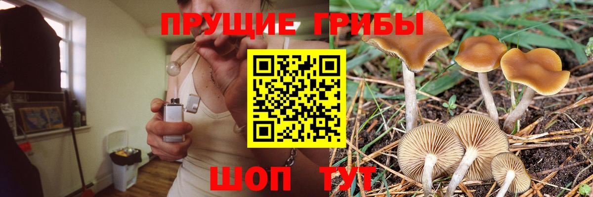 Галлюциногенные грибы MAGIC MUSHROOMS Чита
