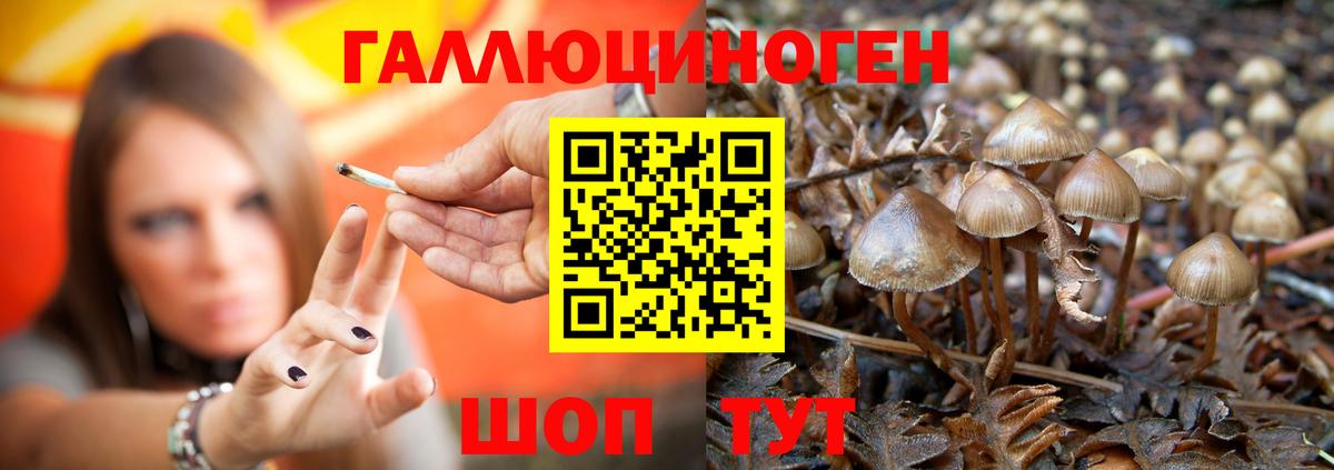 Чита  Галлюциногенные грибы MAGIC MUSHROOMS  Вход с VPN 